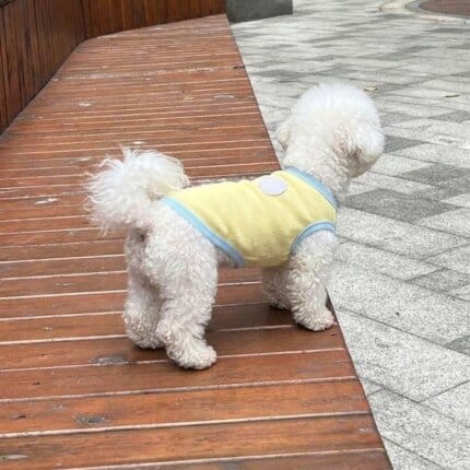Lemon Breeze Bichon Frise Shirt