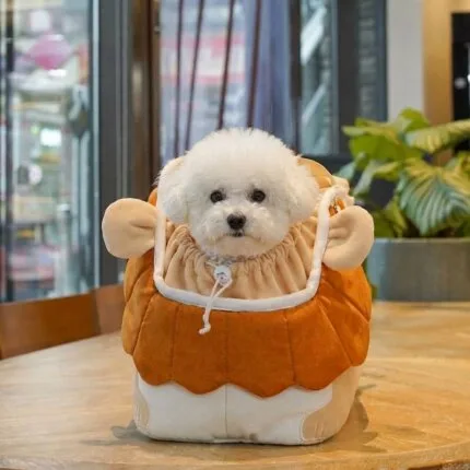 Lion Mane Bichon Carrier