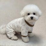 Little Bichon Frise Pajama