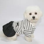 Little Black Bichon Dress