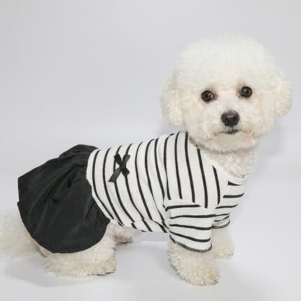 Little Black Bichon Dress