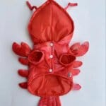 Lobster Bichon Frise Costume