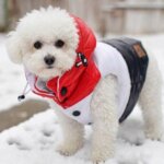 Monpup Signature Fleece for Bichons