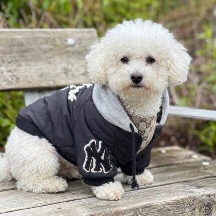 NY Hooded Bichon Frise Jacket