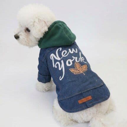 NYC Denim Bichon Frise Jacket