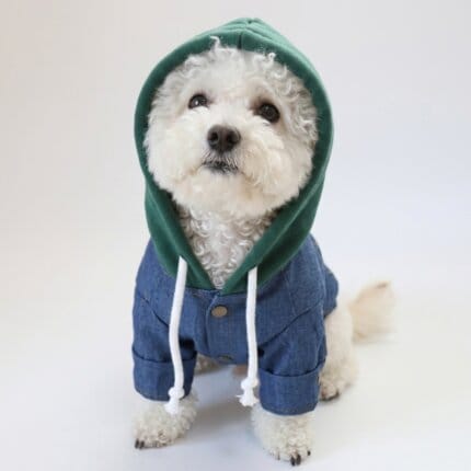 NYC Denim Bichon Frise Jacket