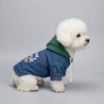 NYC Denim Bichon Frise Jacket