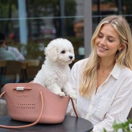O-Bichon Frise Carrier