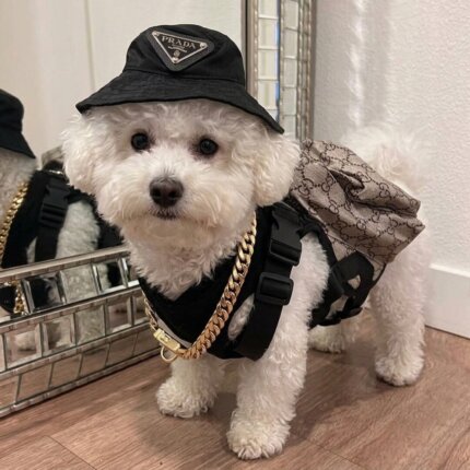 Pawcci Monogram Bichon Frise Backpack