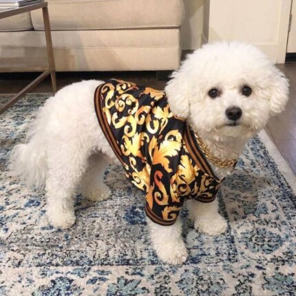 Pawsace Bomber Jacket for Bichon Frise