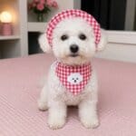Plaid Bichon Frise Hat and Bandana Set