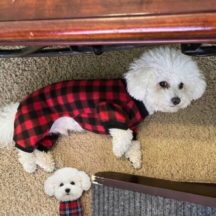Plaid Bichon Frise Pajamas