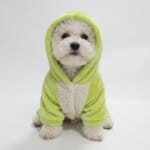 PlanetB Cozy Bichon Hoodie