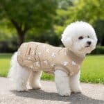 Quilted Bichon Frise Dog Coat