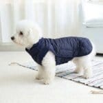 Quilted Bichon Frise Dog Coat