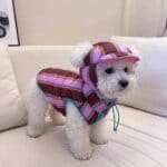 Reversible Bichon Frise Winter Jacket