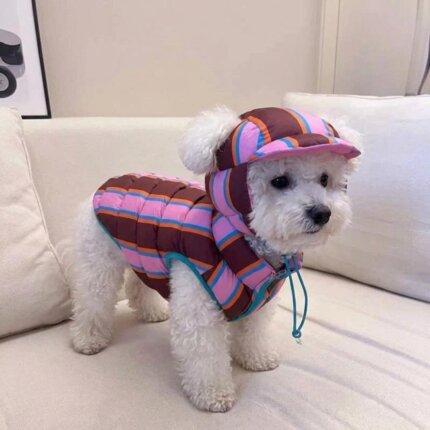Reversible Bichon Frise Winter Jacket