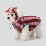 Reversible Bichon Frise Winter Jacket