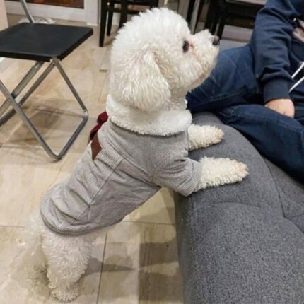 Ribbed Velvet Bichon Frise Jacket