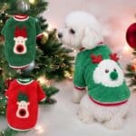 Rudolph Reindeer Bichon Sweater