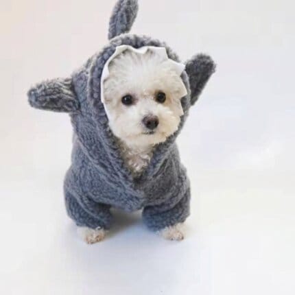 Sharky Bichon Frise Hoodie