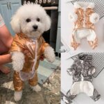Shiny Jumpsuit Bichon Coat