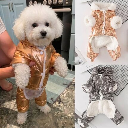 Shiny Jumpsuit Bichon Coat
