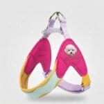 Space Pop Bichon Harness