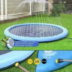 Bichon Frise Summer Pool (2)