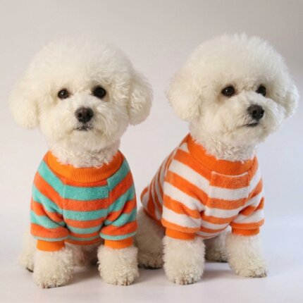 Striped Bichon Frise Sweater