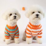 Striped Bichon Frise Sweater