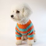 Striped Bichon Frise Sweater