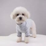 SugarStripe Bichon Frise Onesie