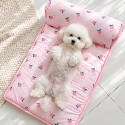 Summer Sausage Pad for Bichon Frise