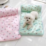 Summer Sausage Pad for Bichon Frise
