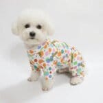 Sunshine Bichon Frise Onesie Pajamas