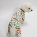 Sunshine Bichon Frise Onesie Pajamas