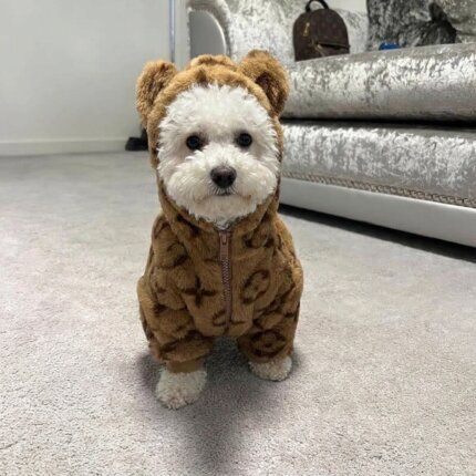 Teddy Bear Jacket For Bichon Frise