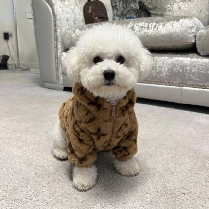 Teddy Bear Jacket For Bichon Frise