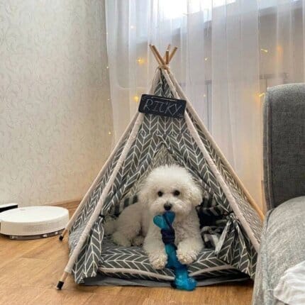 Teepee Bed For Bichon Frise
