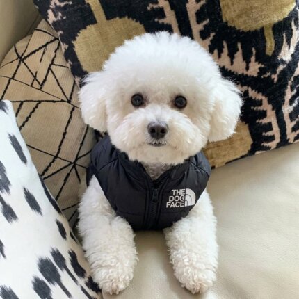 The Bichon Face Vest