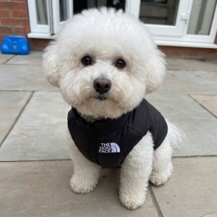 The Bichon Face Vest