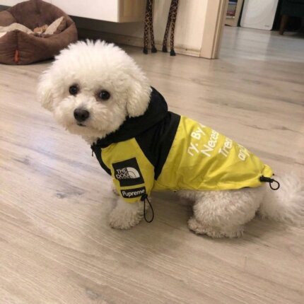 The Bichon Face Windbreaker