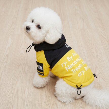 The Bichon Face Windbreaker