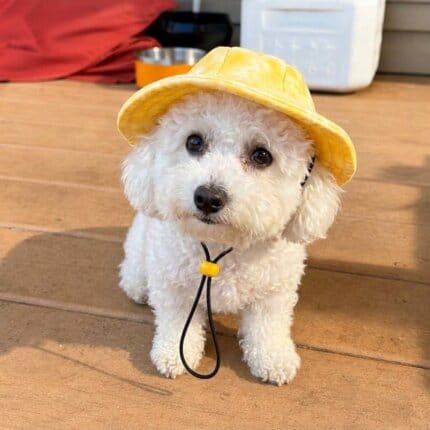 Tie-Dye Bichon Frise Bucket Hat