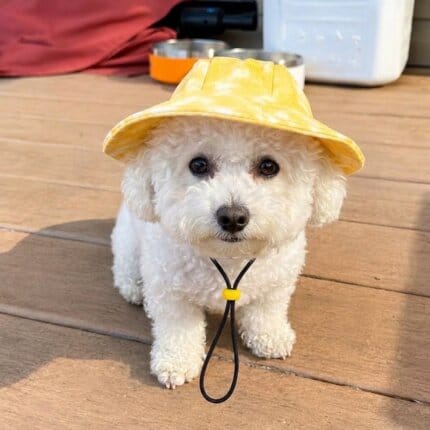 Tie-Dye Bichon Frise Bucket Hat