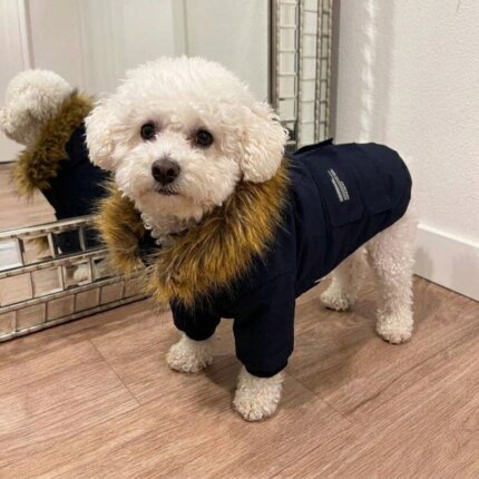 Water-Resistant Parka Dog Coat