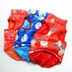Winter Christmas Bichon Vests