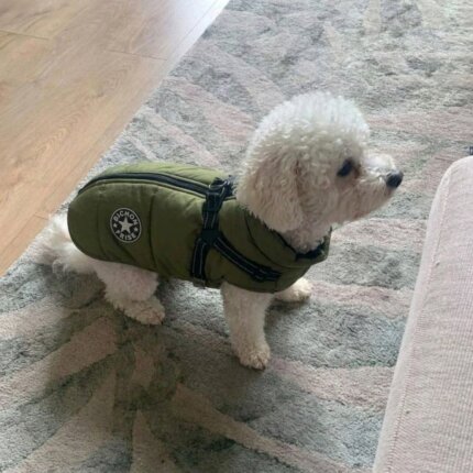 Winter Waterproof Harness Jacket