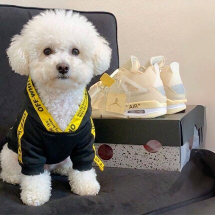 WOFF Black Bichon Frise Hoodie